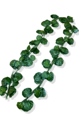 Yapay Sarmaşık Küçük Yapraklı 2.30 Mt