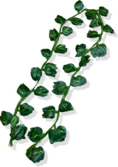 Yapay Sarmaşık Küçük Yapraklı 2.30 Mt