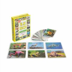 Taba Flash Cards İlk 50 Hayvan Karışık Renkli