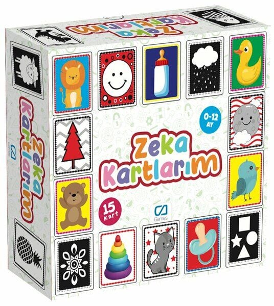 Ca Games Zeka Kartlarım Karışık Renkli