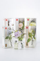 Tohana Oda Kokusu Seti 50 Ml Cam Şişe Lily-Rose-Levander-Sakura-Jasmine-Ocean