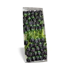 Aşk Kutusu 50 Adet Gül