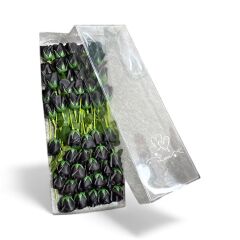 Aşk Kutusu 50 Adet Gül