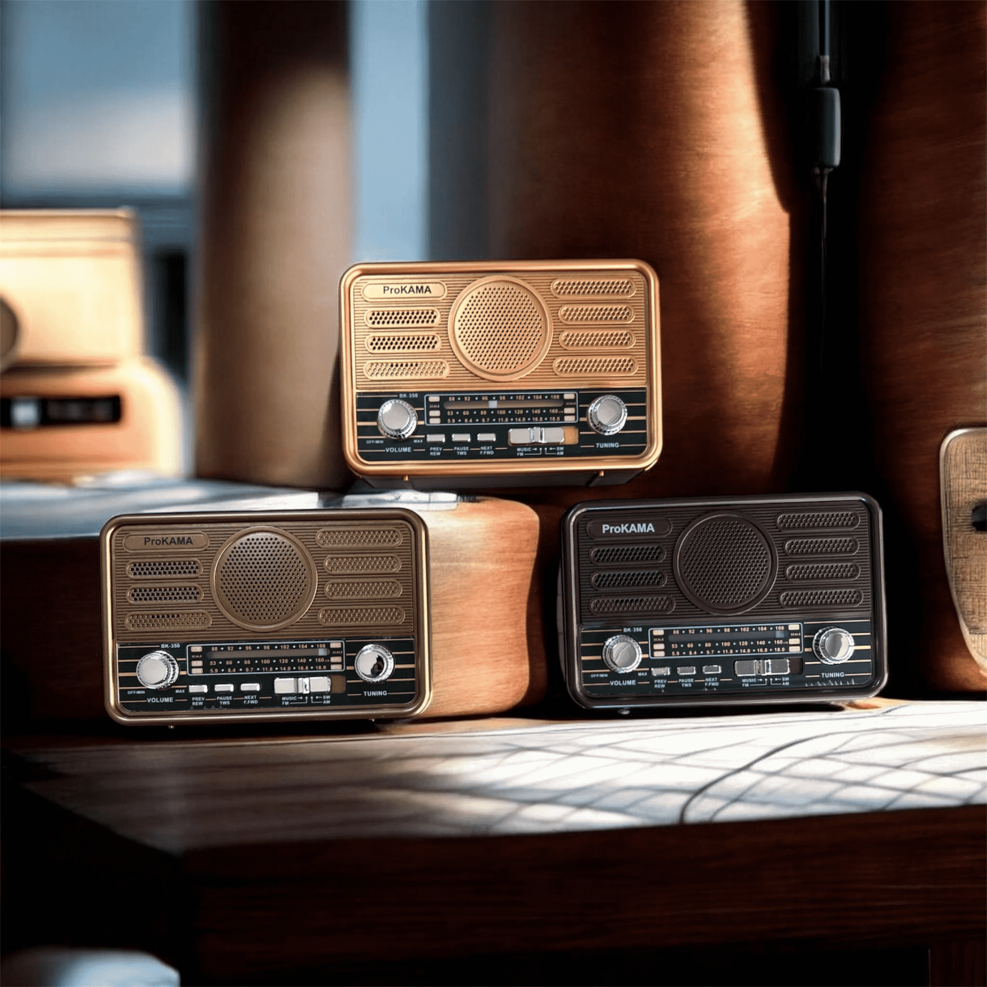 Prokama Bk-350 Solar Radyo