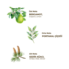 Eyüp Sabri Tuncer Traş Kolonyası No:3 250 Ml