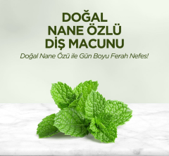 Eyüp Sabri Tuncer Doğal Nane Özlü Diş Macunu 90 Ml