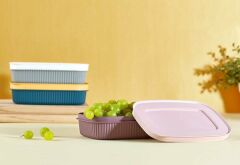 Lova Saklama Kabı Shell 600 Ml