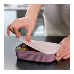 Lova Saklama Kabı Shell 600 Ml Mürdüm