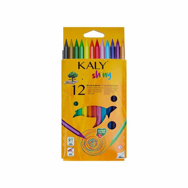 Silka Kaly-Shıny Kuru Boya 12 Renk Tam Boy Karışık Renkli