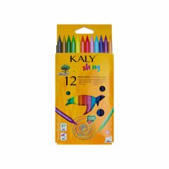 Silka Kaly-Shıny Kuru Boya 12 Renk Tam Boy Karışık Renkli