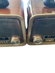 Prokama Bk-301 Solar Radyo