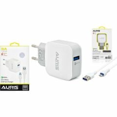 Auris Ch14 Şarj Aleti Ev Micro Fast