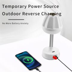 Princo Masa Lambası Uzayıp Kısalabilen