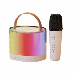 Power Style Speaker Hoparlör Karaoke Mikrofonlu Bluetooth 5 W Krem