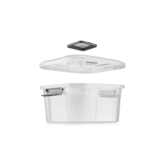 Foly Life 6 Lt Saklama Kabı Şeffaf