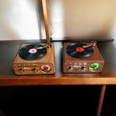 Prokama Bk-1317 Plak Radyo Kahverengi