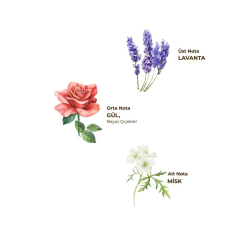 Eyüp Sabri Tuncer Lavanta Kolonyası Sprey Pet Şişe 150 Ml