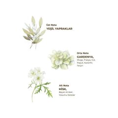 Eyüp Sabri Tuncer Ayvalık Zeytin Çiçeği Kolonyası Pet Şişe 400 Ml