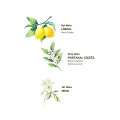 Eyüp Sabri Tuncer Verbena Zinde Limon Kolonyası Pet Şişe 400 Ml