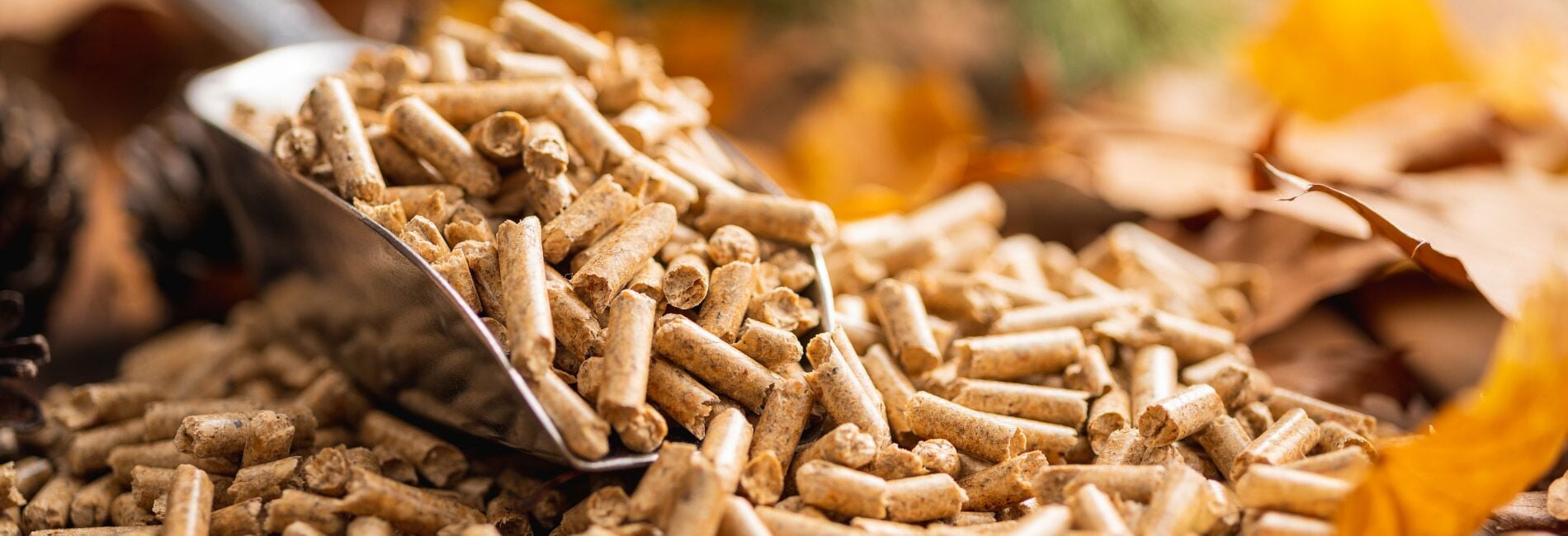 Çam Peleti Doğal Yakıt 10 Kg