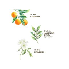 Eyüp Sabri Tuncer Bodrum Mandalinası Kolonyası Sprey Pet Şişe 150 Ml