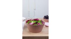 Okyanus 162 Coliseum Salata Kase