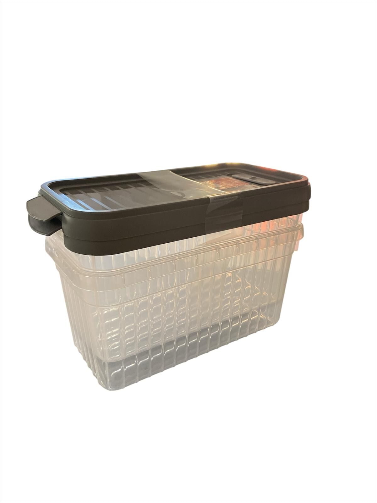 Foly Life 2 Li 4 Lt Saklama Kabı