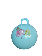 Plates Topu 55 Cm Poşetli