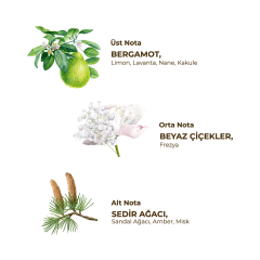 Eyüp Sabri Tuncer Traş Kolonyası No:2 250 Ml