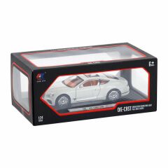 Canali Araba Metal Bentley