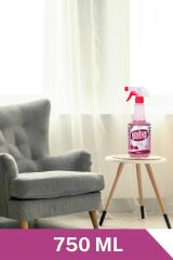 Goodmix Koltuk Temizleyici 750 Ml