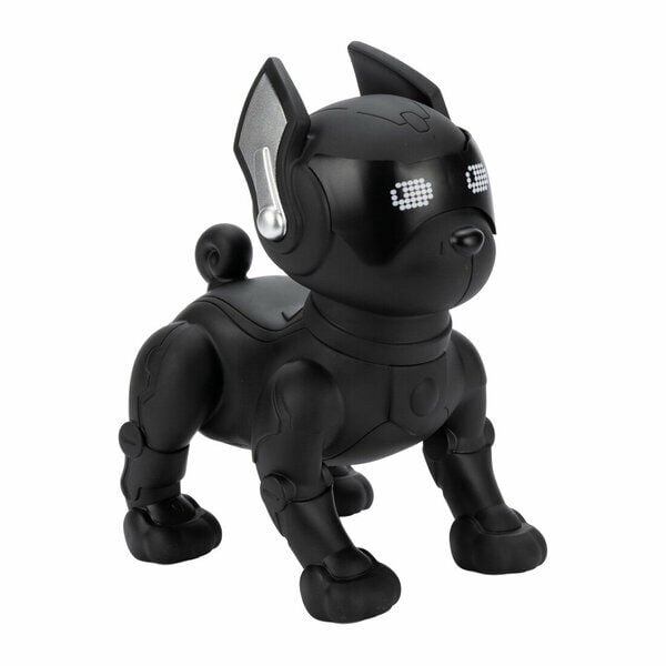 Glr Ch-M65 Müzik Çalar Köpek Siyah