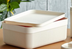 Voce Alesta 3 Lt Saklama Kabı