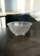 Rayan Cam Kase 6 Lı