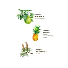 Eyüp Sabri Tuncer Okyanus Kolonyası Sprey Pet Şişe 150 Ml